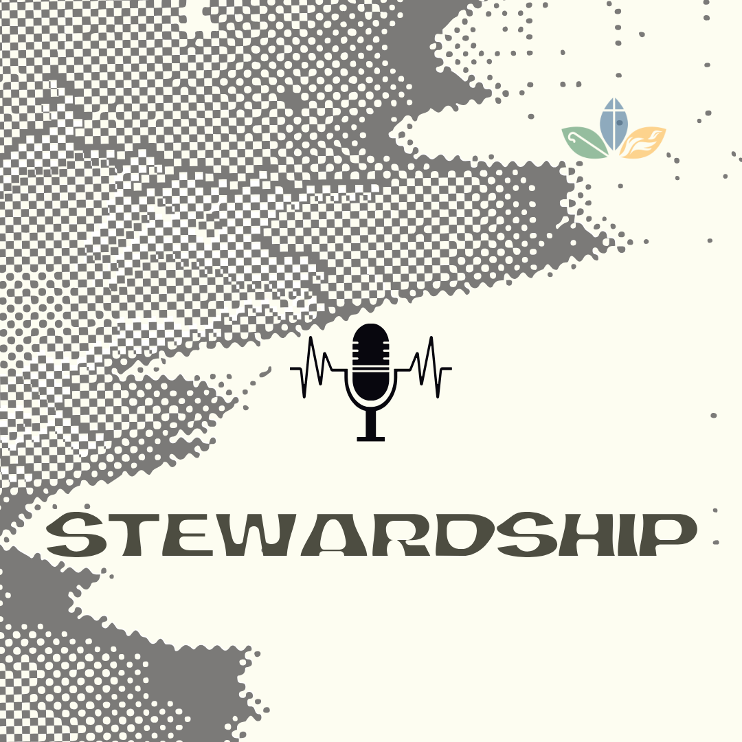 Stewardship: Week 4