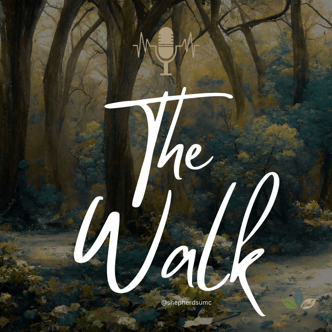 The Walk: Week 4