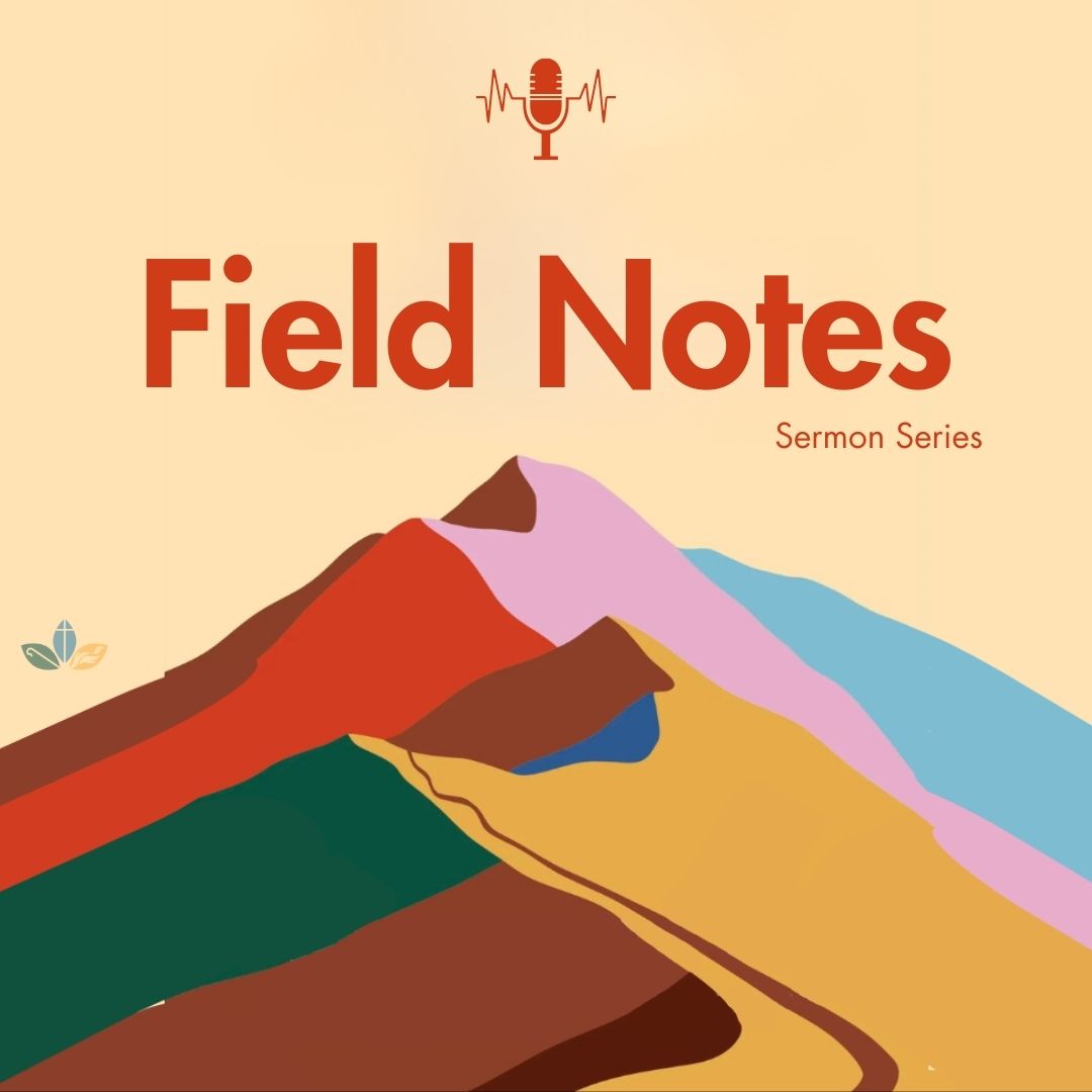 Field Notes I Week 2